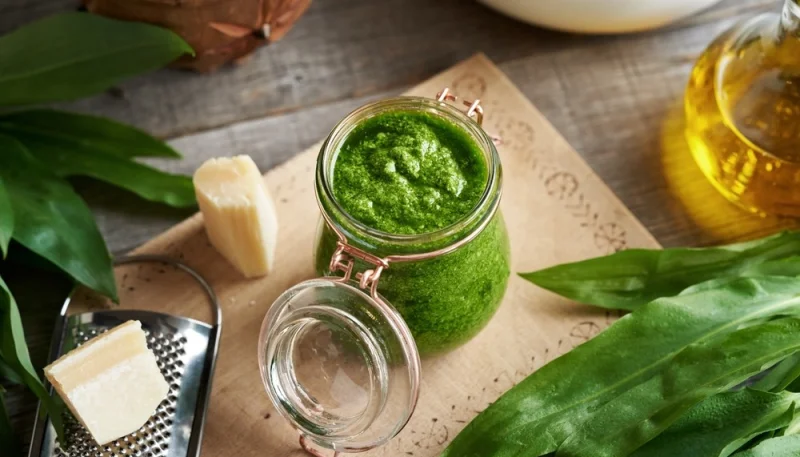 Pesto maison à l'ail des ours