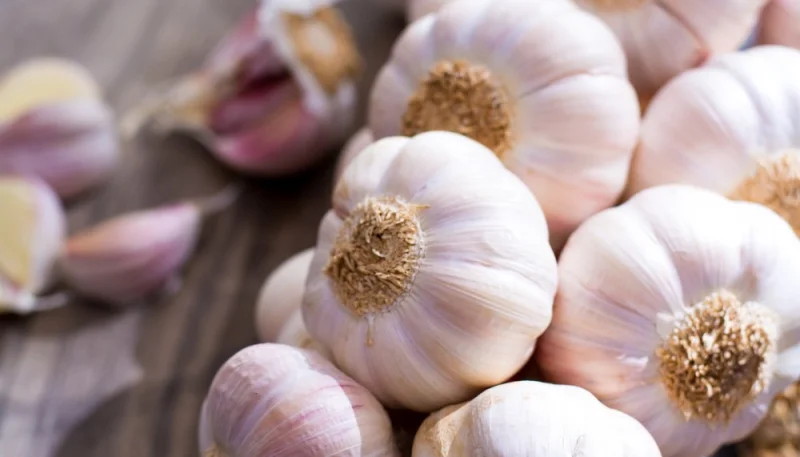 L'ail en cuisine : Un ingrédient simple aux multiples usages