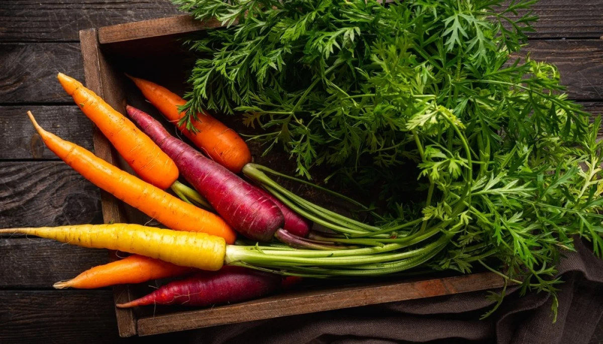 Cuisiner la carotte autrement : Astuces et idées inattendues