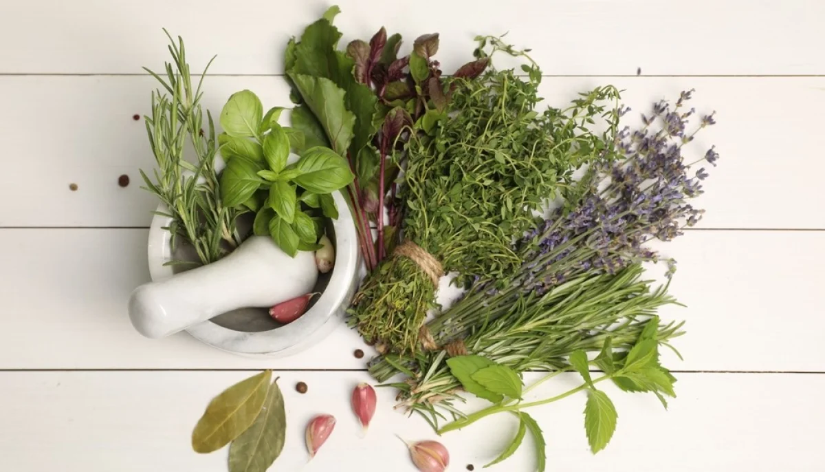 Les herbes aromatiques : un trésor de saveurs en cuisine