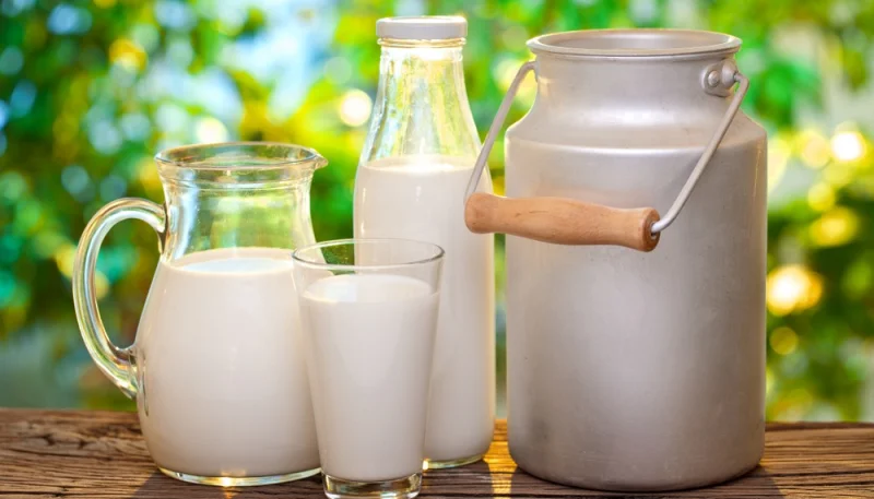 Le lait : un ingrédient essentiel et polyvalent en cuisine