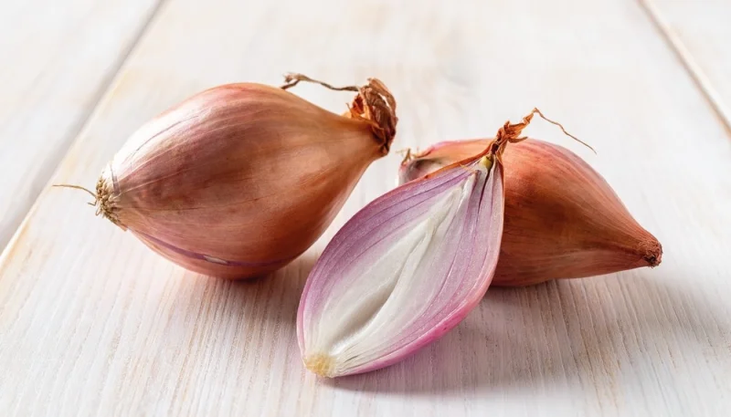 Les échalotes : un ingrédient raffiné pour rehausser vos plats