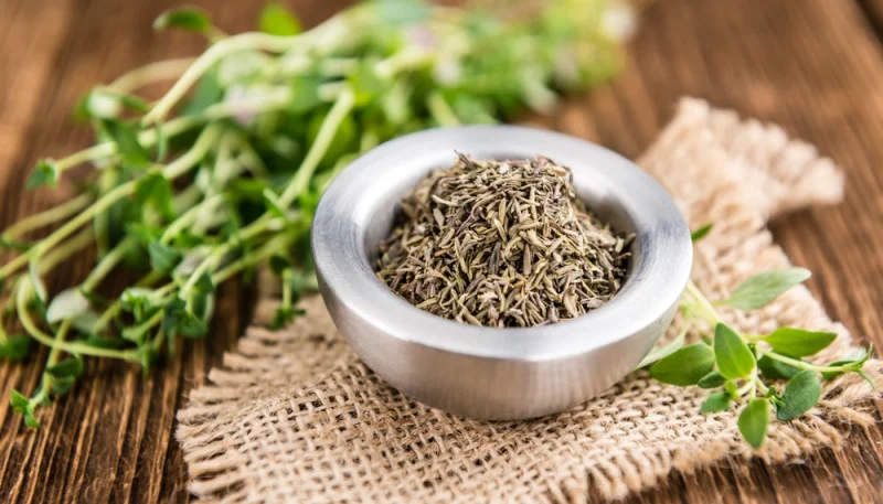 Le thym : une herbe aromatique aux multiples saveurs et bienfaits