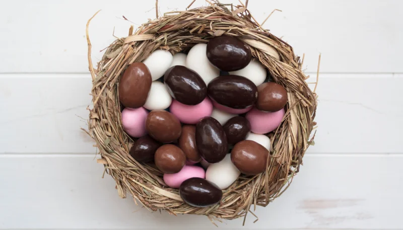 Nid d'oiseau en chocolat et œufs de pâques