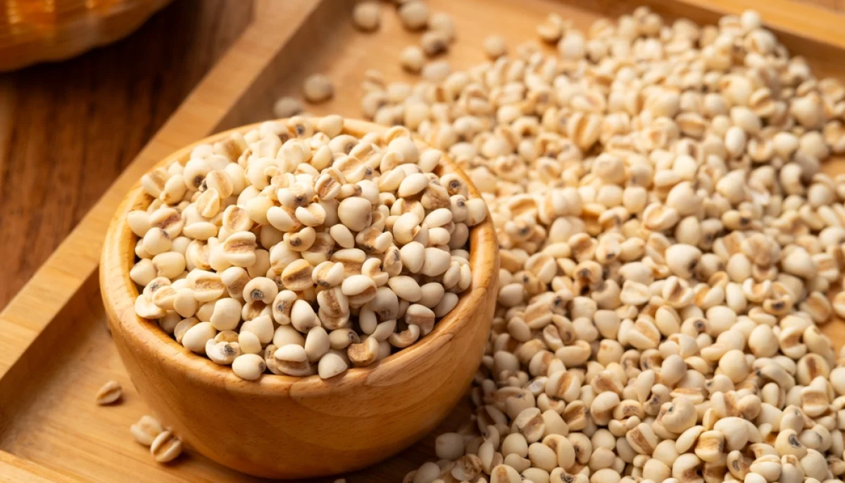 Les larmes de Job : bienfaits, utilisations et conseils pour les intégrer à votre quotidien