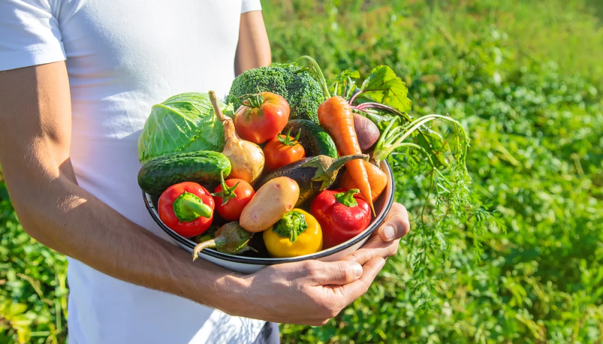 Que cuisiner avec les légumes de printemps ? Nos idées simples et savoureuses