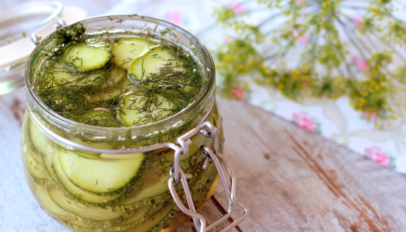 🥒 Pickles maison de concombres express