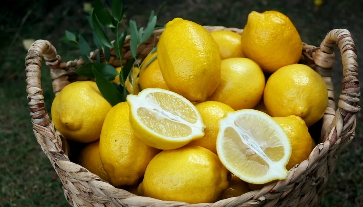 Les bienfaits insoupçonnés du citron en cuisine