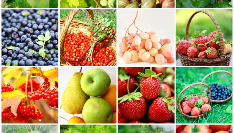 Fruits et légumes de saison : lesquels choisir chaque mois ?