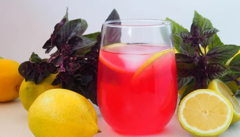 🌺🍋 Citronnade au basilic rouge