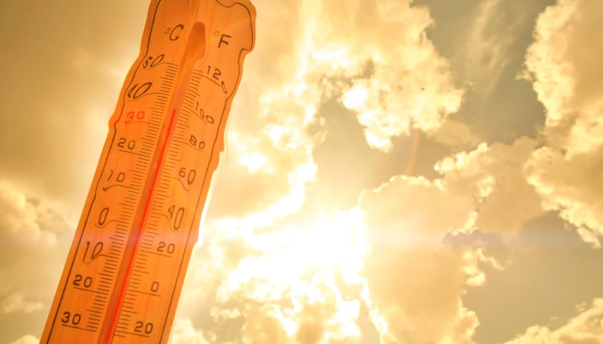 Canicule : 5 recettes ultra fraîches à préparer sans allumer le four ni les plaques